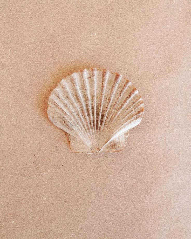 Soli Wellness Harmony Membership